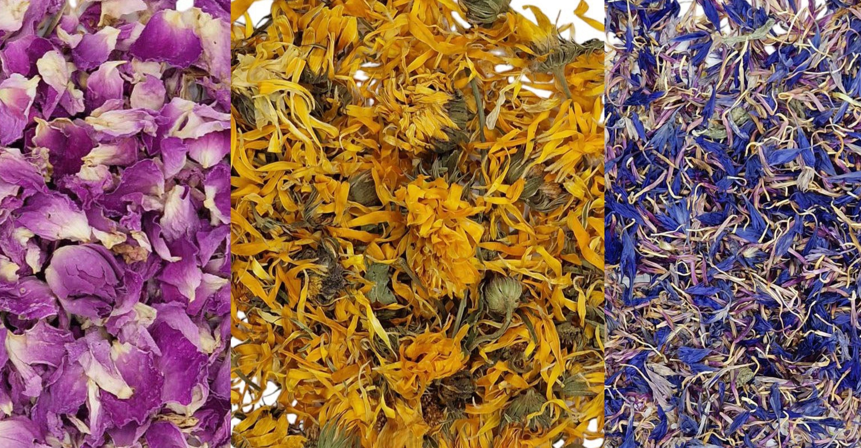 Så köper du örtte och ätbara blommor i bulk till ditt café eller tevarumärke