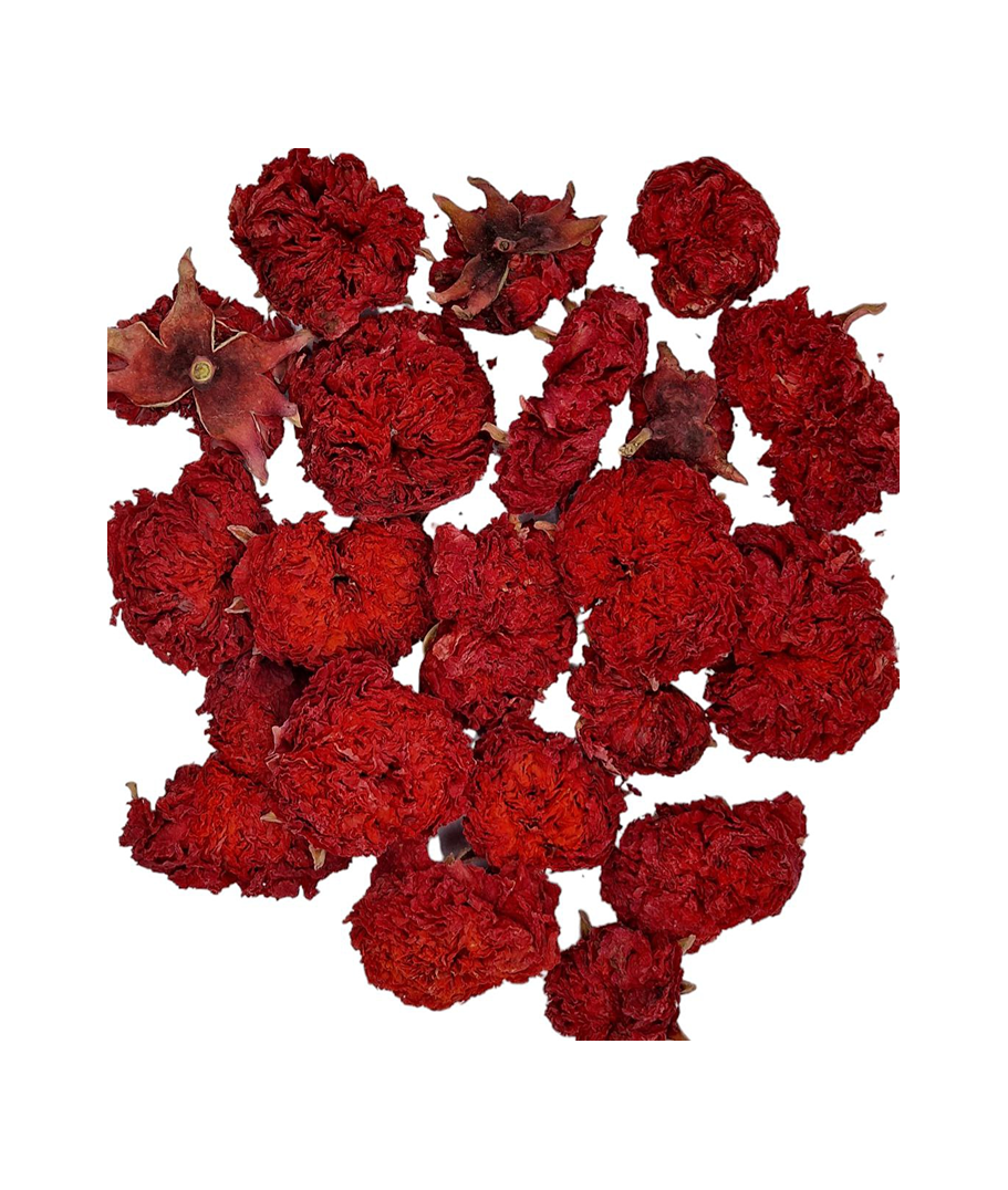 Granatäppleblomma 2kg – Unikt blomte och dekoration för lyxiga caféer